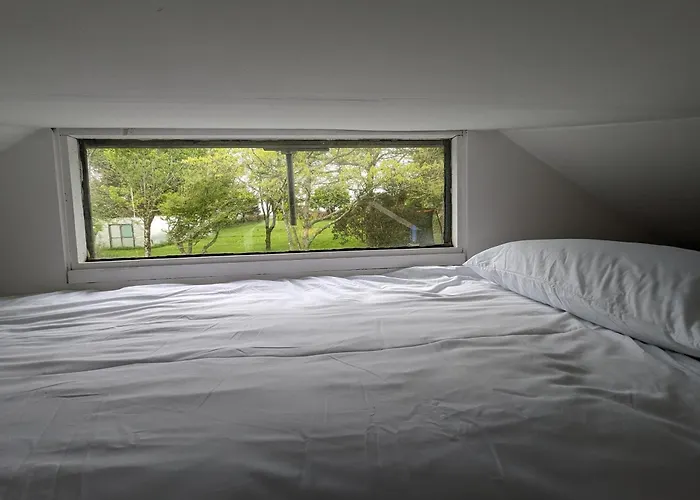 Jay's Скибберин